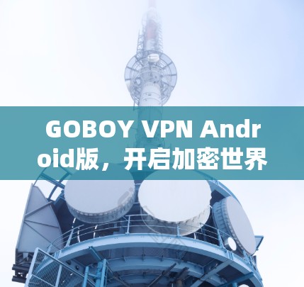 GOBOY VPN Android版，开启加密世界的无限可能