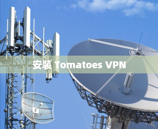 安装 Tomatoes VPN 安装 Tomatoes VPN