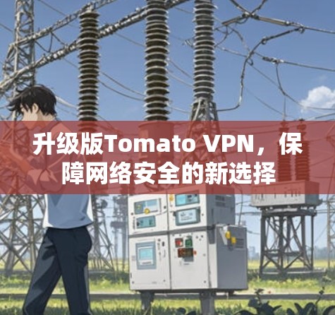 升级版Tomato VPN,保障网络安全的新选择 升级版Tomato VPN,保障网络安全的新选择