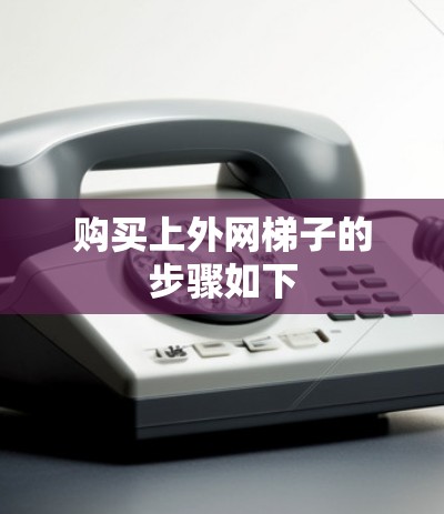 购买上外网梯子的步骤如下