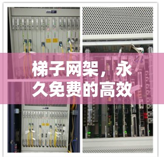 梯子网架，永久免费的高效网络解决方案