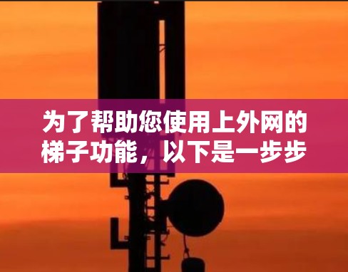为了帮助您使用上外网的梯子功能，以下是一步步的指南