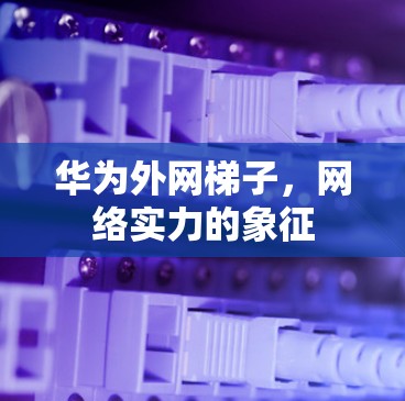华为外网梯子,网络实力的象征 华为外网梯子,网络实力的象征