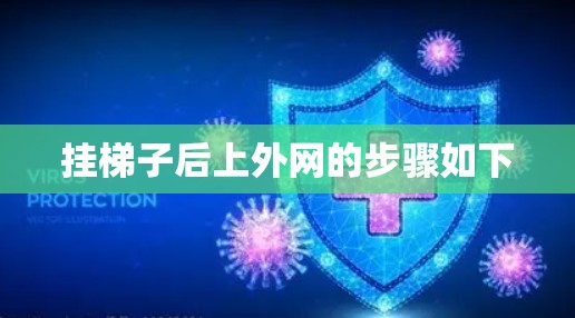 挂梯子后上外网的步骤如下