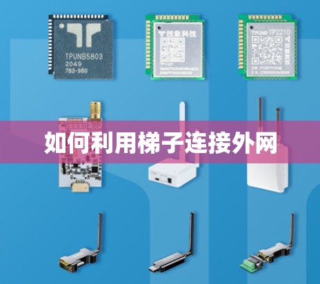 如何利用梯子连接外网