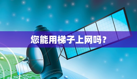 您能用梯子上网吗？