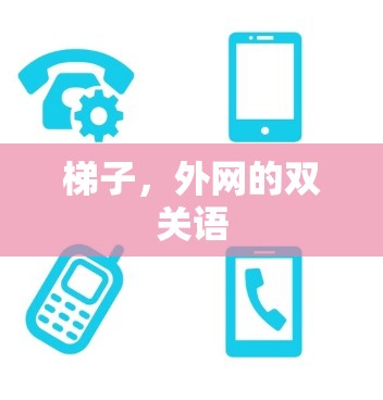 梯子，外网的双关语