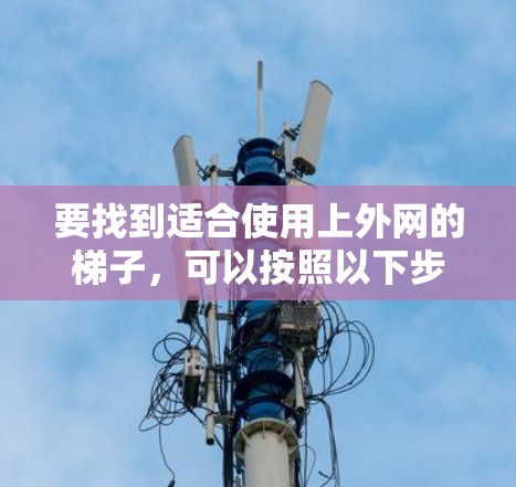 要找到适合使用上外网的梯子，可以按照以下步骤进行