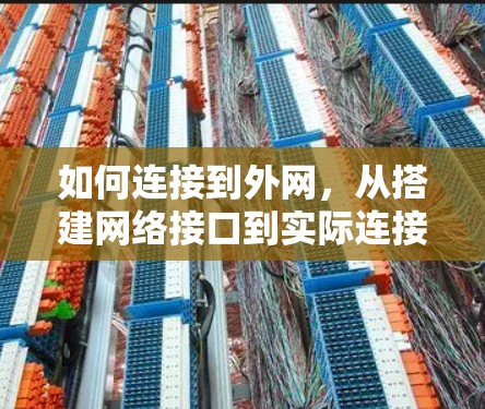 如何连接到外网，从搭建网络接口到实际连接的全解析