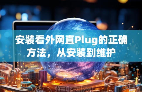 安装看外网直Plug的正确方法，从安装到维护