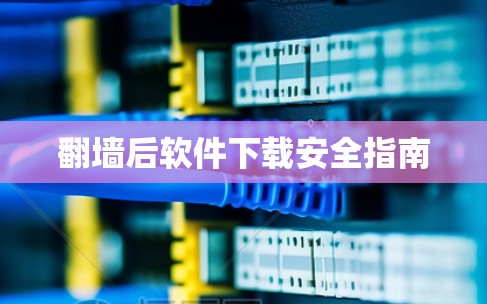 翻墙后软件下载安全指南