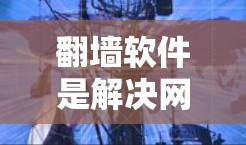翻墙软件是解决网络共享问题的有效工具，以下是几种常见类型的翻墙软件及其使用方法