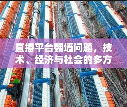 直播平台翻墙问题，技术、经济与社会的多方分析