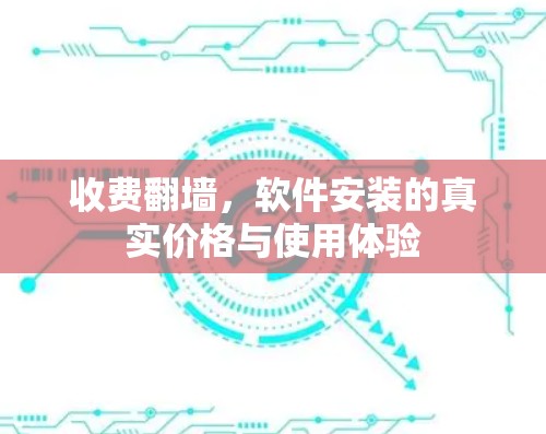 收费翻墙，软件安装的真实价格与使用体验