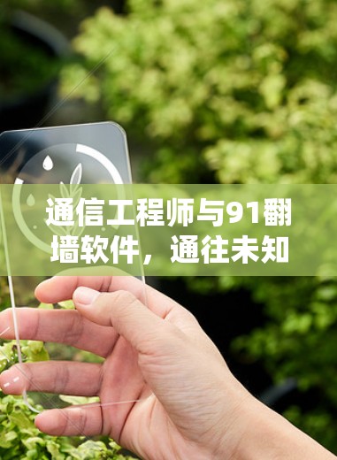 通信工程师与91翻墙软件，通往未知世界的钥匙