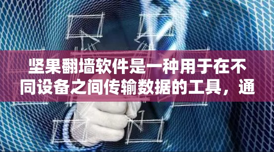 坚果翻墙软件是一种用于在不同设备之间传输数据的工具，通常用于连接手机到电脑或笔记本电脑。以下是详细的步骤和注意事项