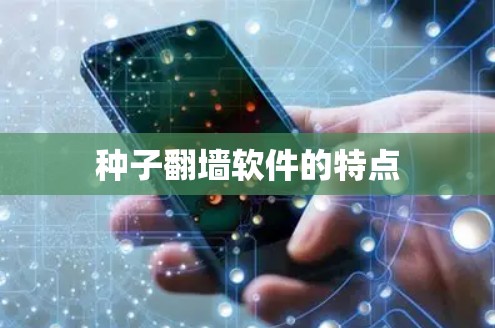 种子翻墙软件的特点