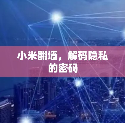 小米翻墙，解码隐私的密码