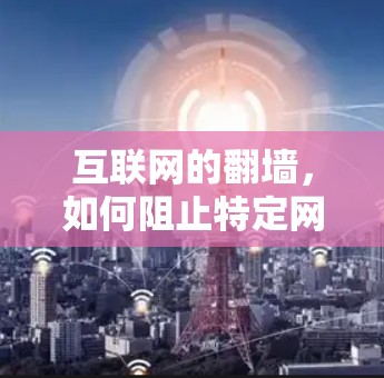 互联网的翻墙，如何阻止特定网站访问
