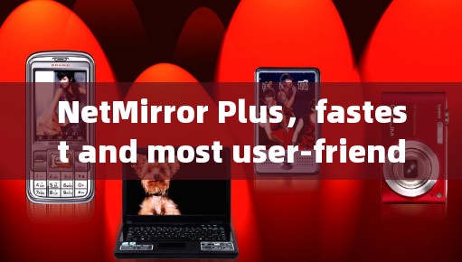 NetMirror Plus，fastest and most user-friendly翻墙软件
