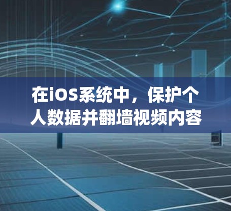 在iOS系统中，保护个人数据并翻墙视频内容的常见工具有两种，Symantec One 和 Relyant for iOS。以下是对这两种工具的详细比较和总结