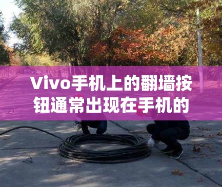 Vivo手机上的翻墙按钮通常出现在手机的系统设置中，主要用于测试设备的系统兼容性和加载第三方应用的效果。以下是解决该问题的步骤
