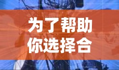 为了帮助你选择合适的翻墙软件，以下是一些综合考虑的关键点和推荐