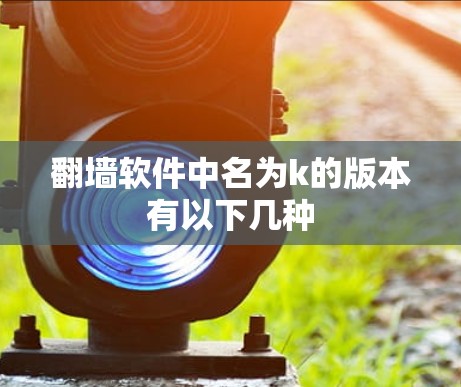 翻墙软件中名为k的版本有以下几种