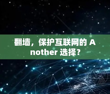 翻墙，保护互联网的 Another 选择？