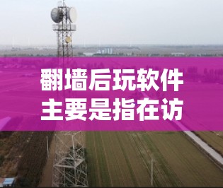 翻墙后玩软件主要是指在访问外部网站或应用后，能够进行某种在线操作或下载软件的场景。以下是一些常见的软件和工具，建议在翻墙上后使用