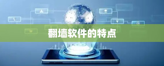 翻墙软件的特点