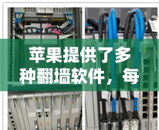 苹果提供了多种翻墙软件，每个软件各有特点和优缺点。以下是详细的解释