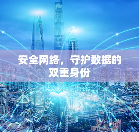 安全网络，守护数据的双重身份