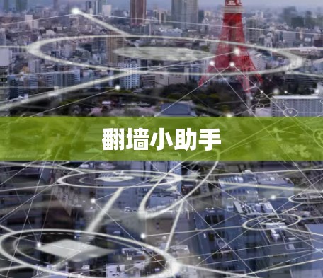 翻墙小助手