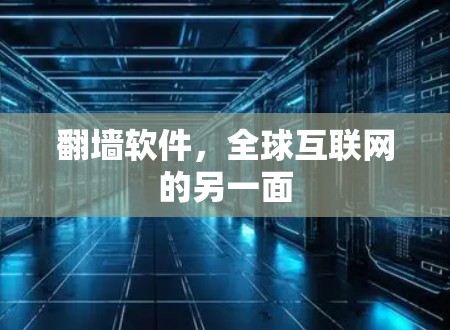 翻墙软件，全球互联网的另一面