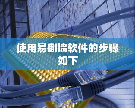 使用易翻墙软件的步骤如下 使用易翻墙软件的步骤如下