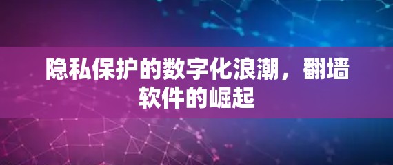 隐私保护的数字化浪潮，翻墙软件的崛起