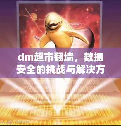 dm超市翻墙，数据安全的挑战与解决方案