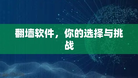 翻墙软件，你的选择与挑战