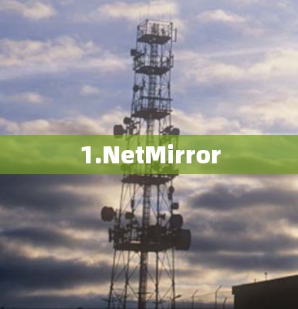 1.NetMirror