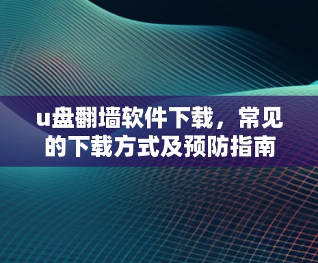 u盘翻墙软件下载，常见的下载方式及预防指南