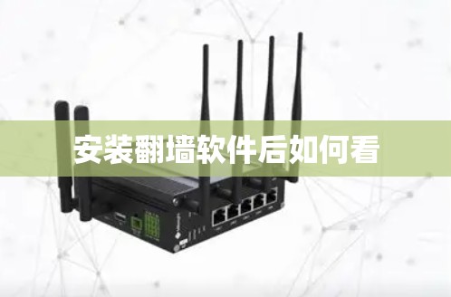 安装翻墙软件后如何看