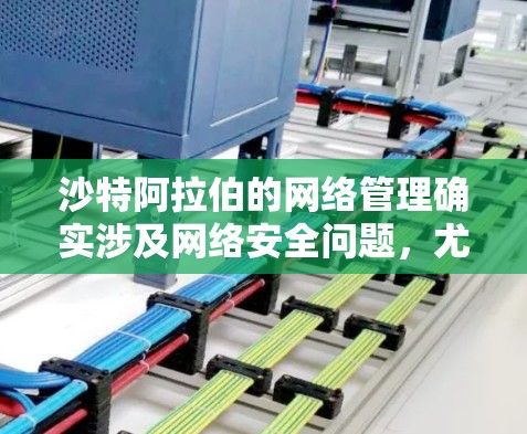 沙特阿拉伯的网络管理确实涉及网络安全问题，尤其是在处理网络访问和设备连接时。以下是一些可能与沙特翻墙软件相关的信息和讨论