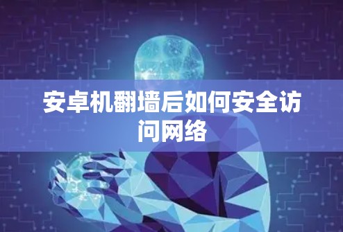 安卓机翻墙后如何安全访问网络