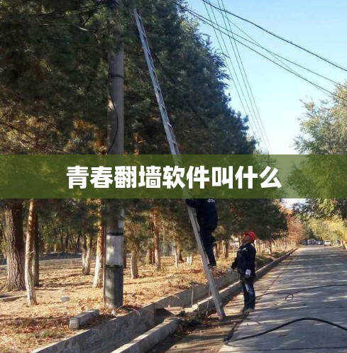 青春翻墙软件叫什么