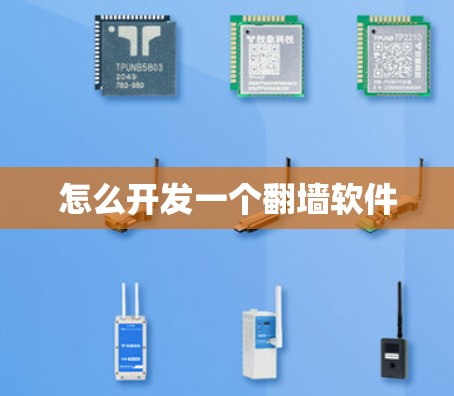 怎么开发一个翻墙软件