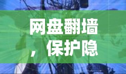 网盘翻墙，保护隐私，维护安全