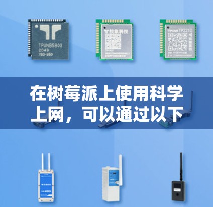 在树莓派上使用科学上网，可以通过以下步骤实现