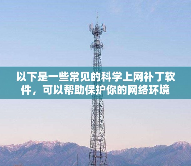 以下是一些常见的科学上网补丁软件，可以帮助保护你的网络环境