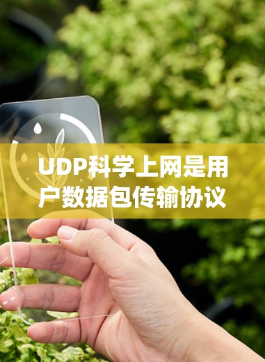 UDP科学上网是用户数据包传输协议（User Datagram Protocol，UDP）是TCP的前驱协议，用于在互联网上进行小范围的数据传输。以下是对UDP科学上网的详细总结